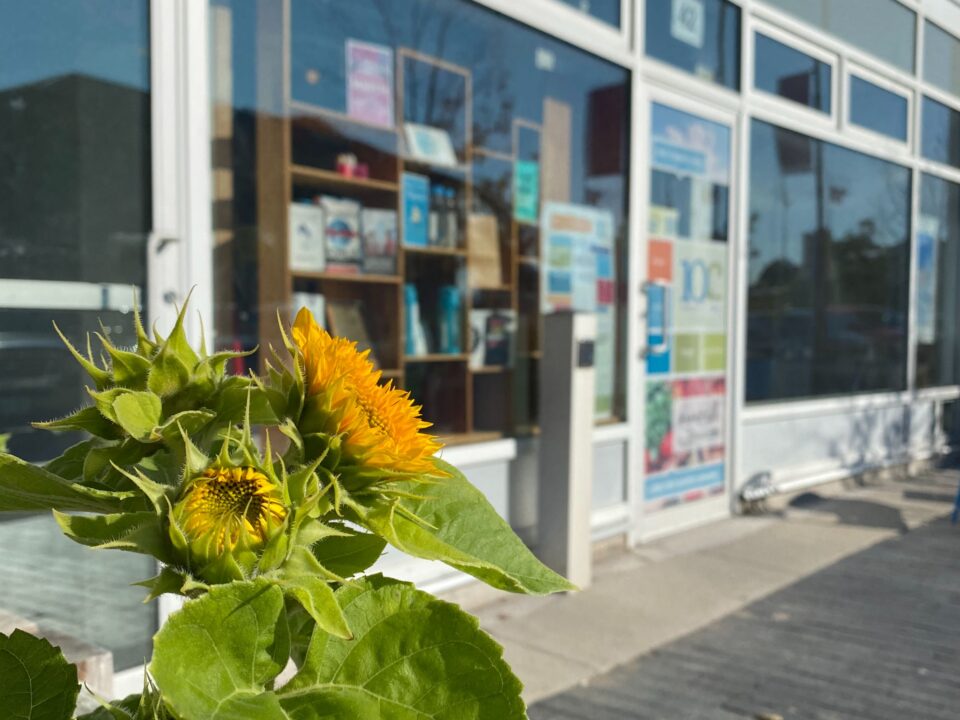 Front doors of 10C with sunflowers in the foreground.